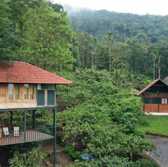 Wayanad