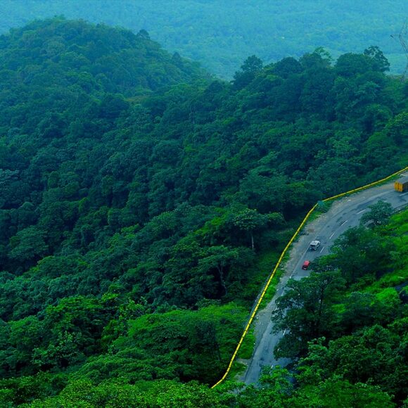 Wayanad